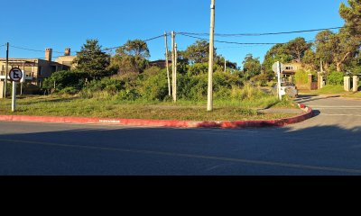 Frente al mar