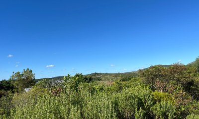 Terreno en el cerro del Burro