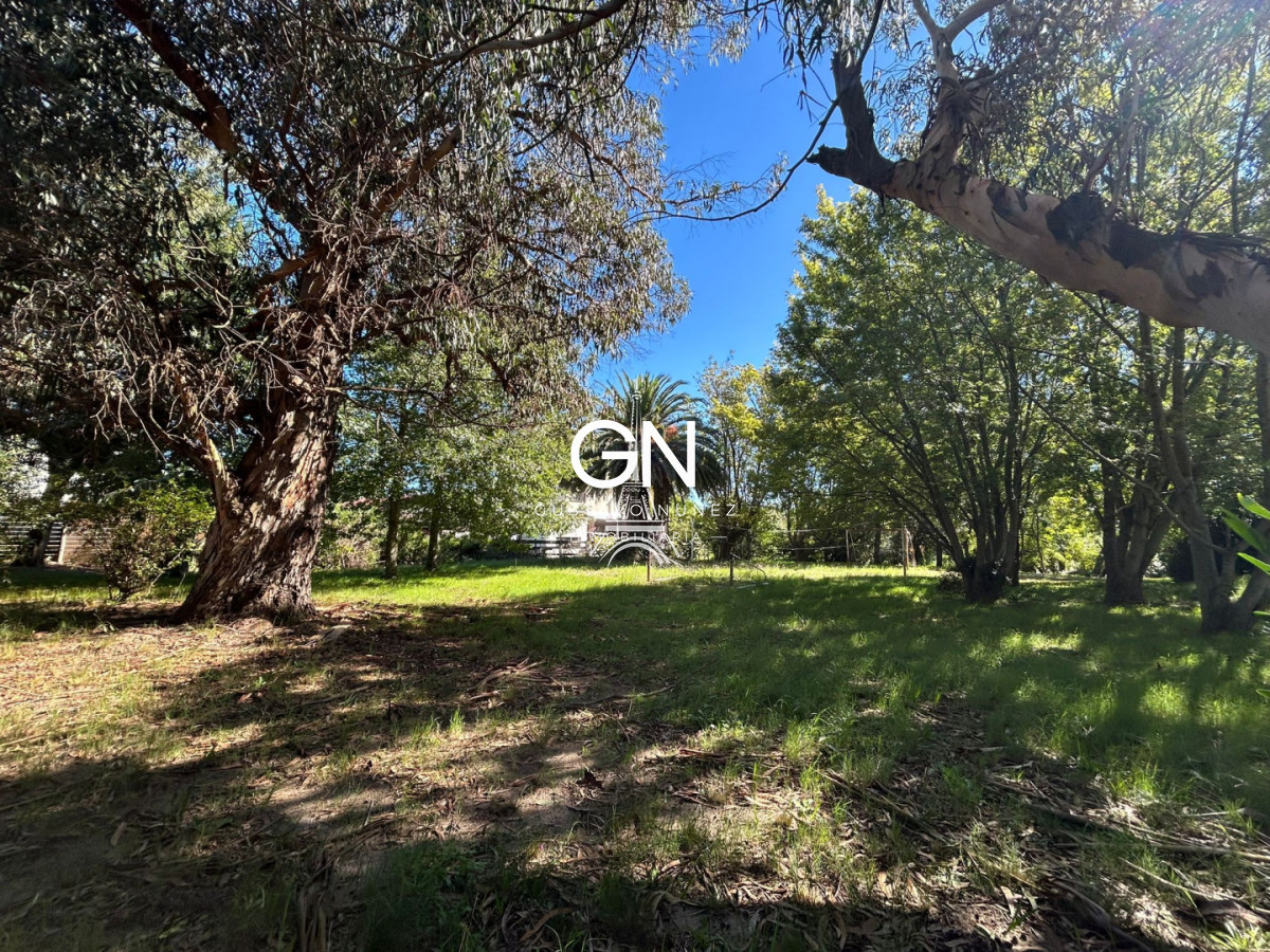 Hotel ID.4925 - Hotel Rivendel