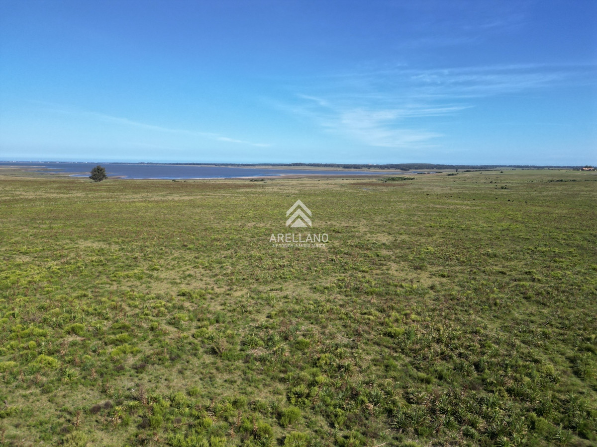 Campo Ref.3466 - Venta Campo en José Ignacio 