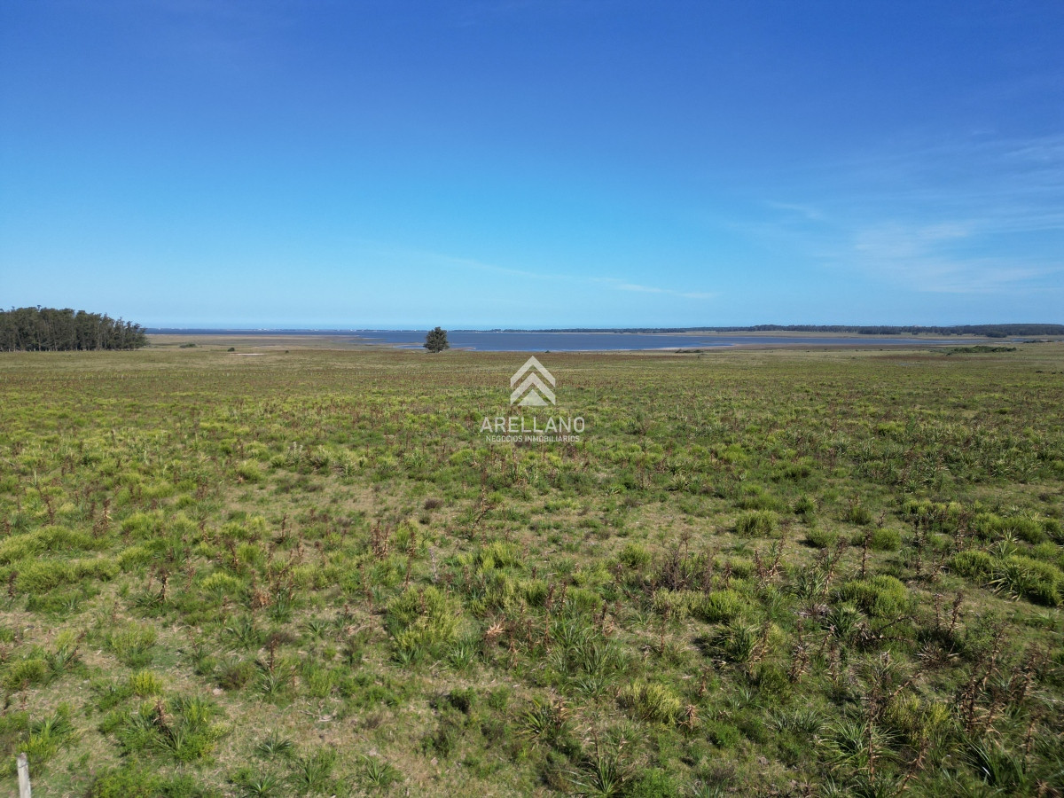 Campo Ref.3466 - Venta Campo en José Ignacio 