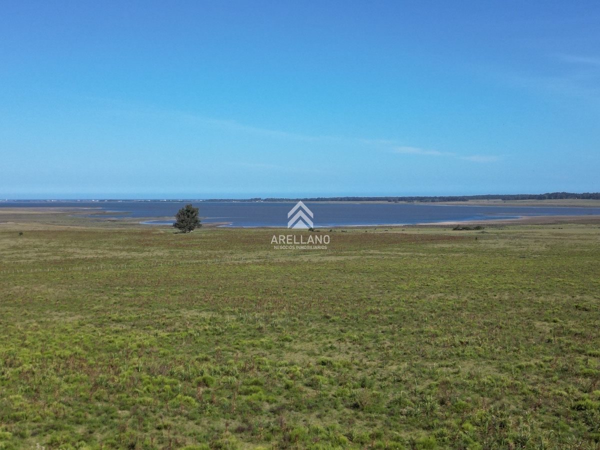Campo Ref.3466 - Venta Campo en José Ignacio 