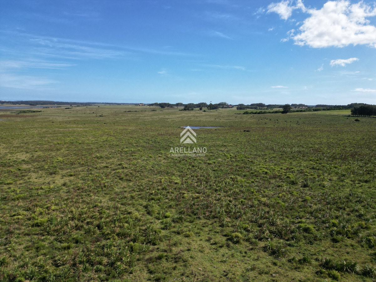 Campo Ref.3466 - Venta Campo en José Ignacio 
