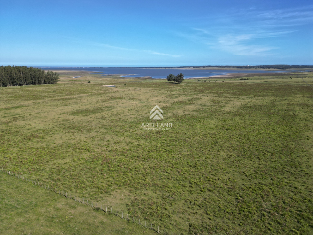 Campo Ref.3466 - Venta Campo en José Ignacio 