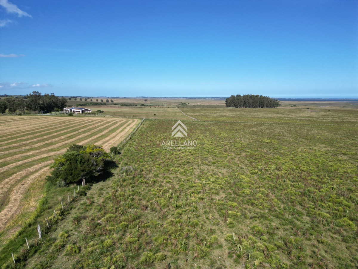 Campo Ref.3466 - Venta Campo en José Ignacio 