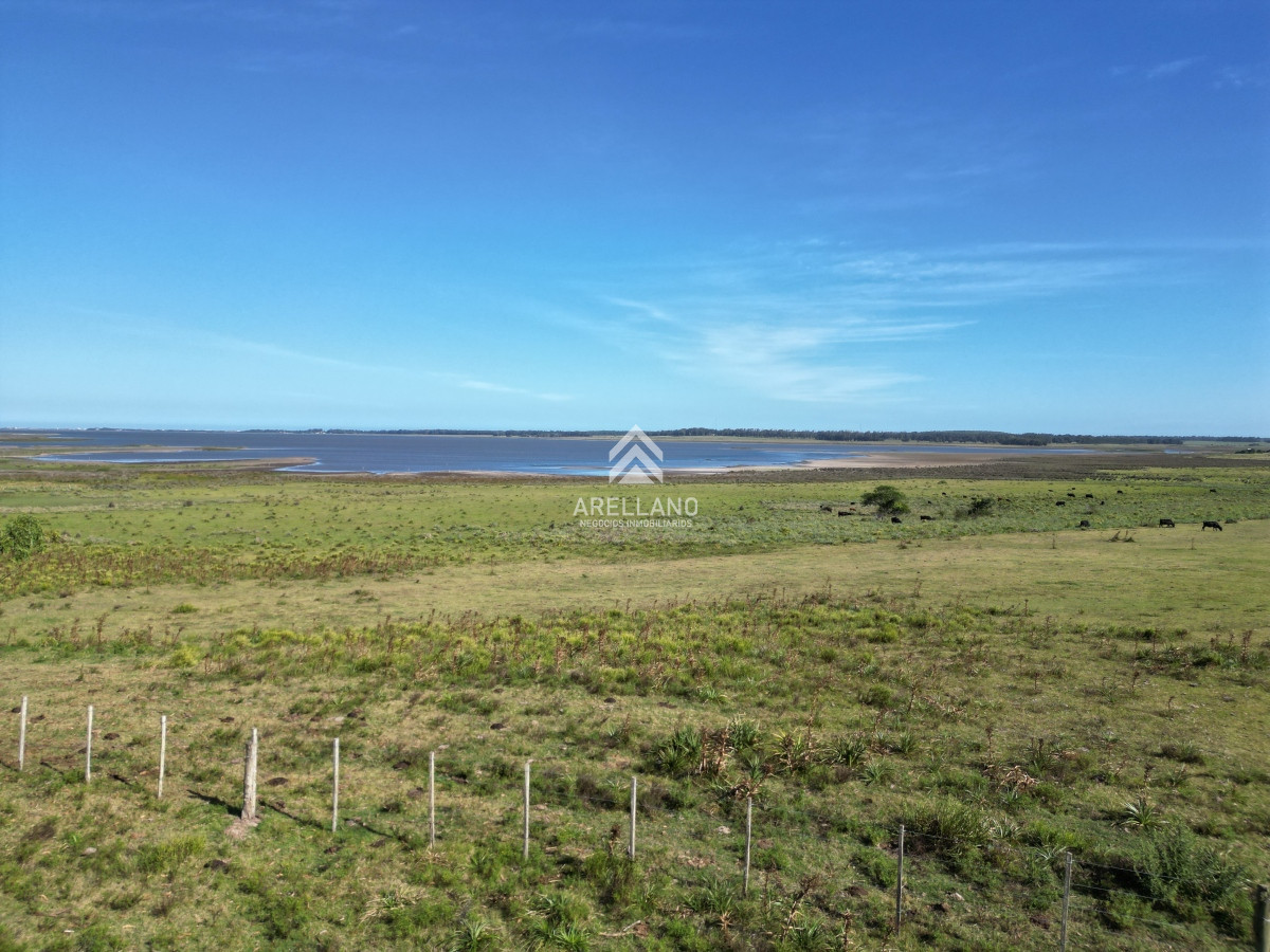 Campo Ref.3466 - Venta Campo en José Ignacio 