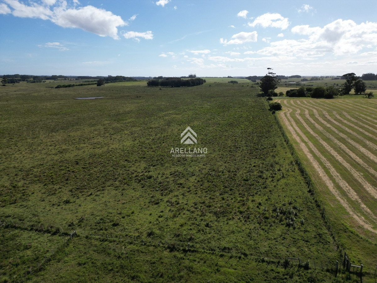 Campo Ref.3466 - Venta Campo en José Ignacio 