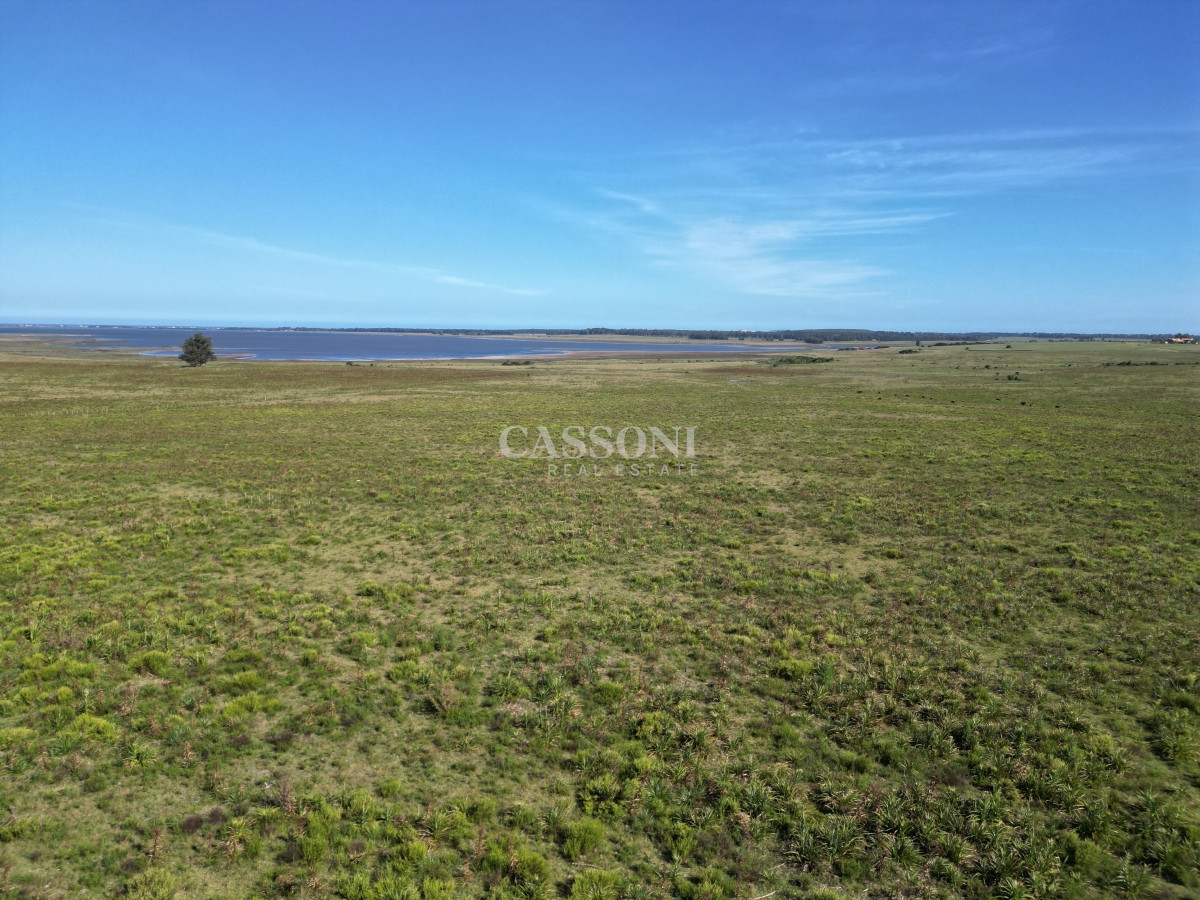 Campo Ref.3159 - Campo en José Ignacio 