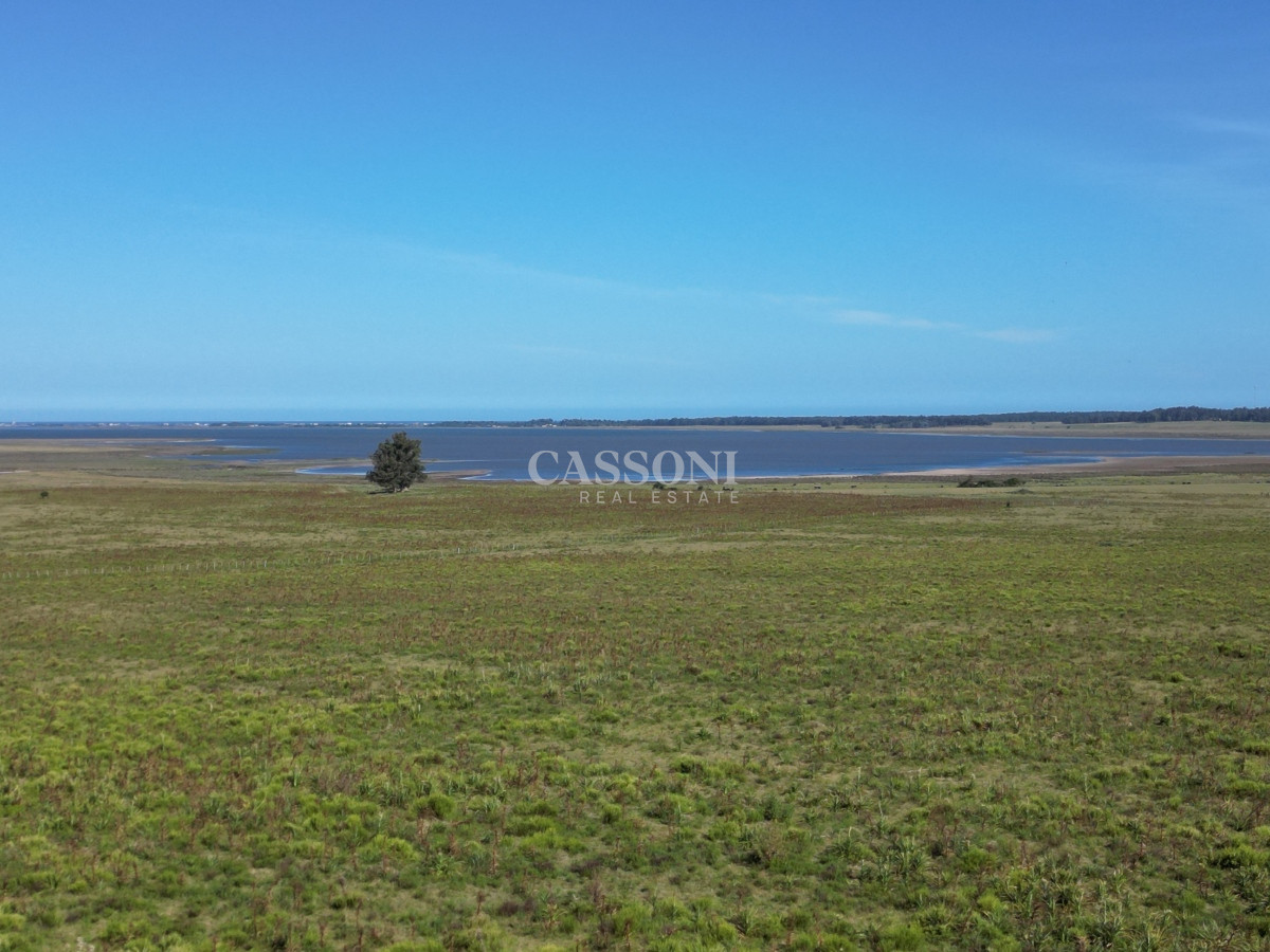 Campo Ref.3159 - Campo en José Ignacio 