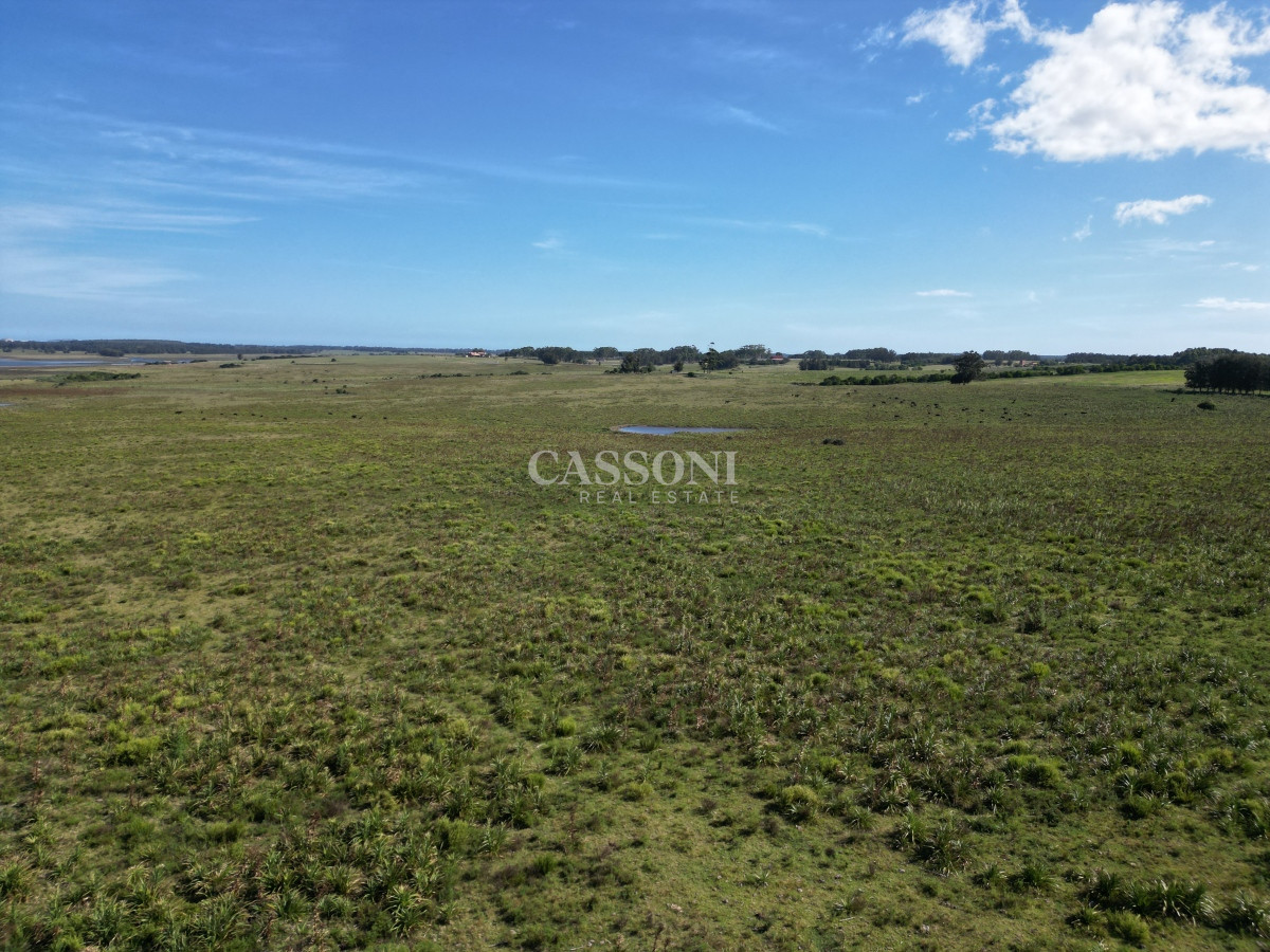 Campo Ref.3159 - Campo en José Ignacio 