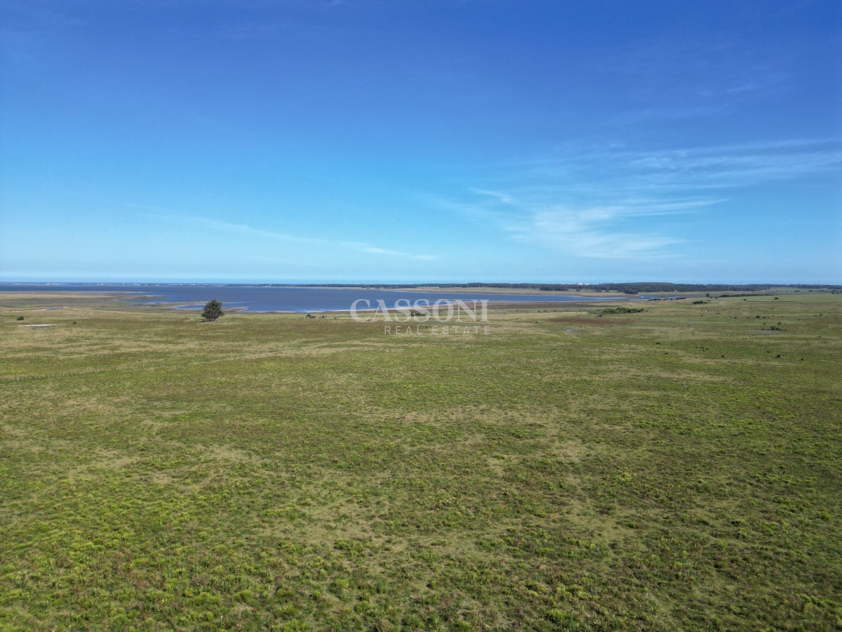 Campo Ref.3159 - Campo en José Ignacio 