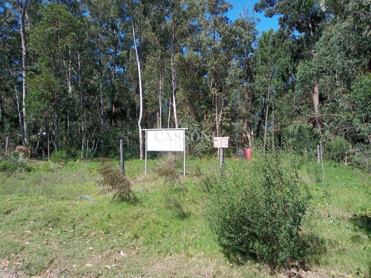 Terreno ID.3164 - Oportunidad de inversión terreno de 910m2 