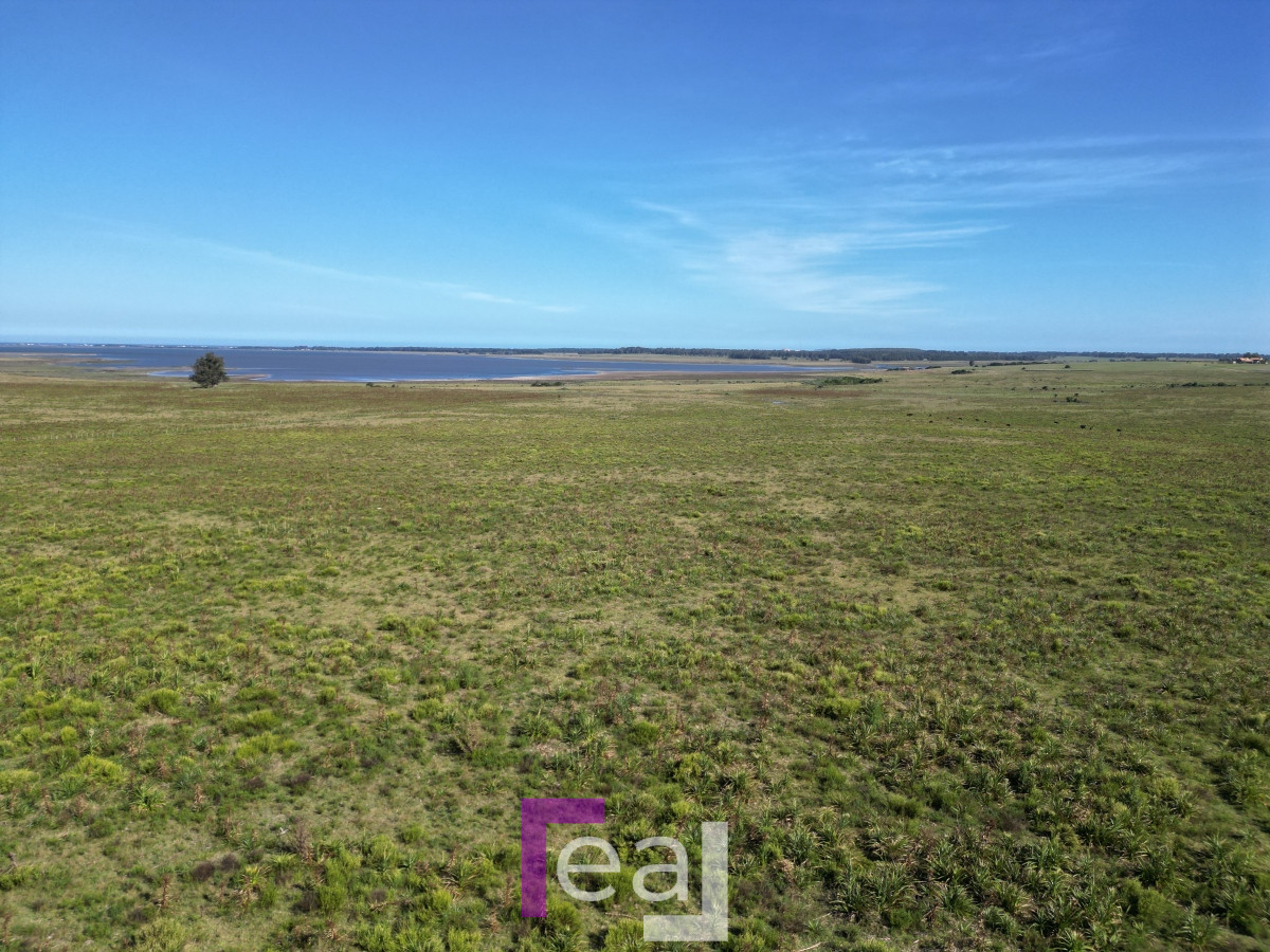 Campo Ref.222 - Campo en José Ignacio 