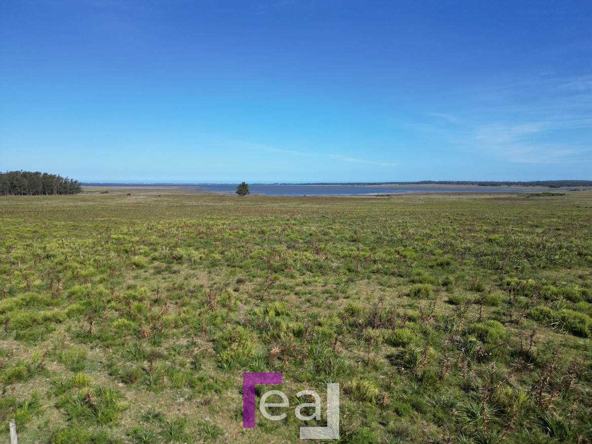 Campo Ref.222 - Campo en José Ignacio 