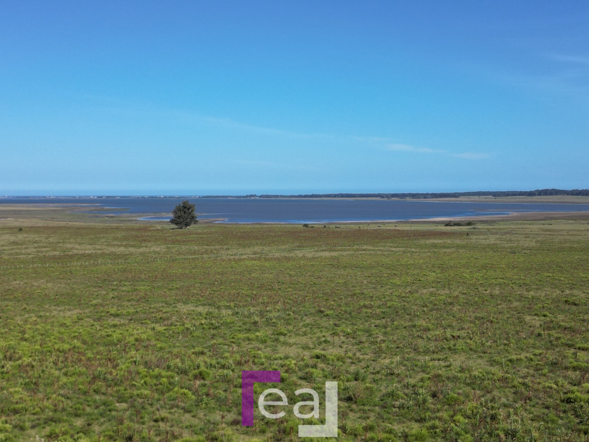 Campo Ref.222 - Campo en José Ignacio 