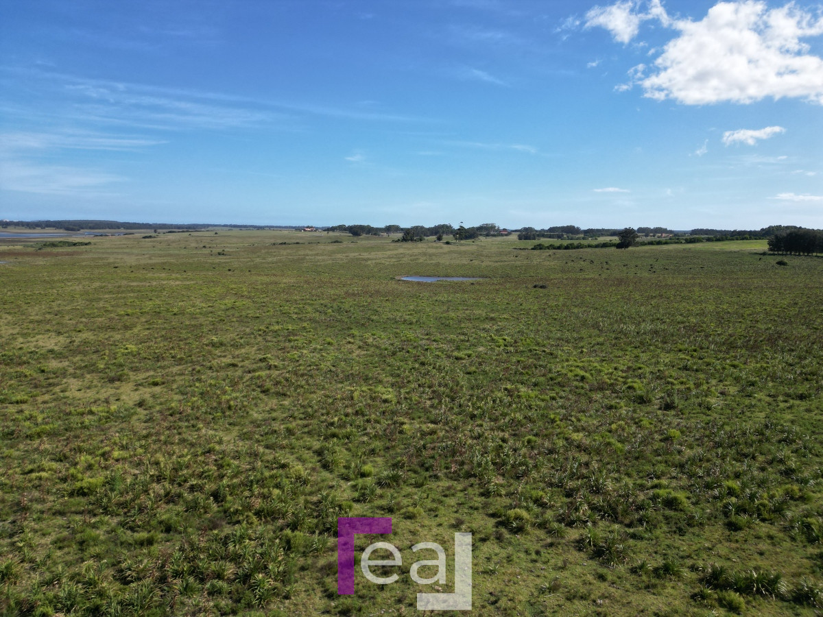 Campo Ref.222 - Campo en José Ignacio 