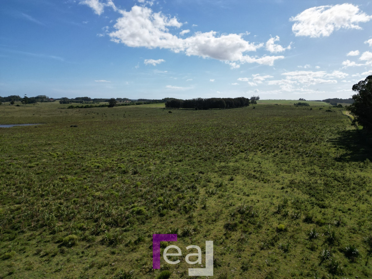 Campo Ref.222 - Campo en José Ignacio 