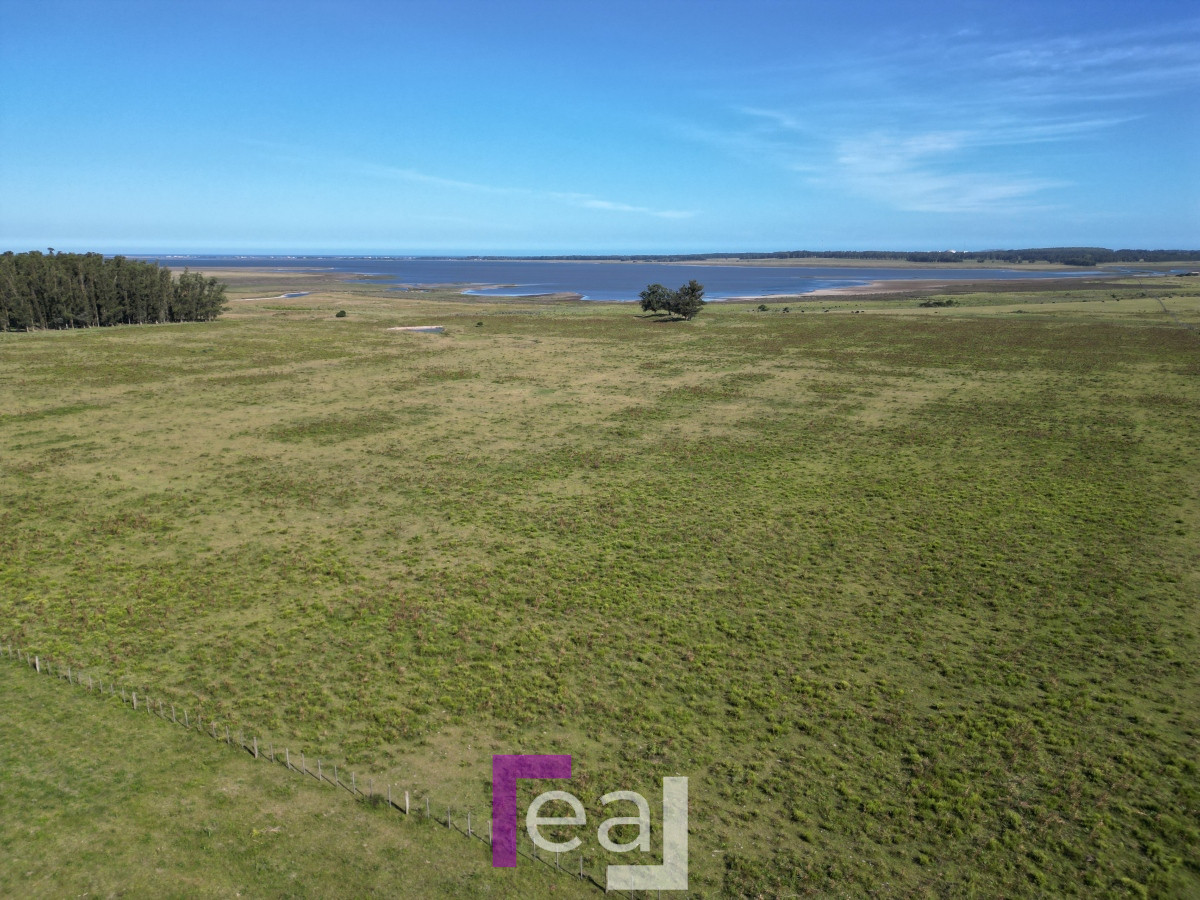 Campo Ref.222 - Campo en José Ignacio 