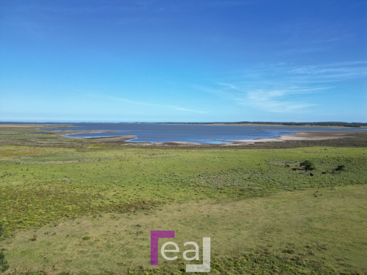 Campo Ref.222 - Campo en José Ignacio 