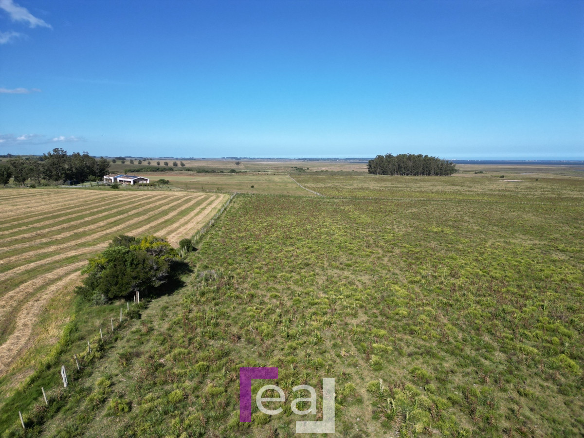 Campo Ref.222 - Campo en José Ignacio 