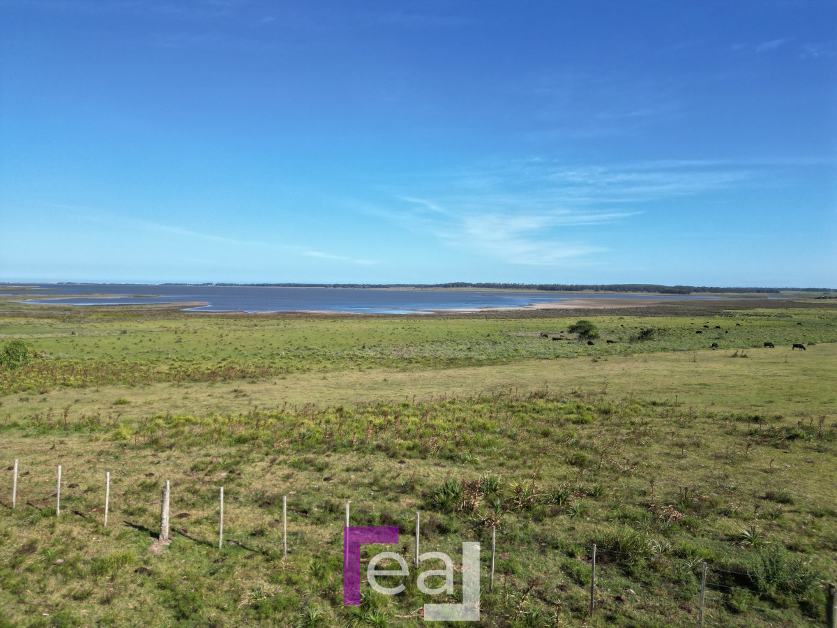 Campo Ref.222 - Campo en José Ignacio 