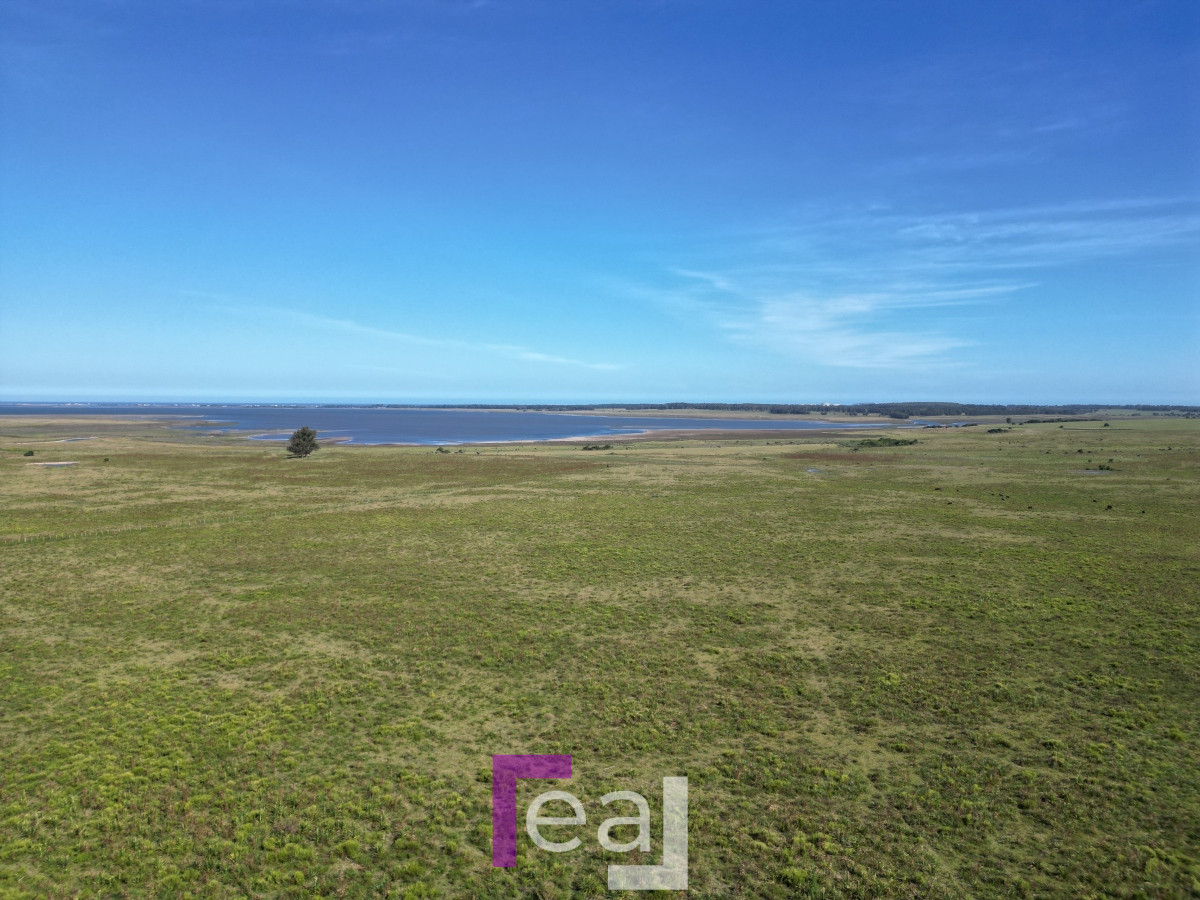Campo Ref.222 - Campo en José Ignacio 