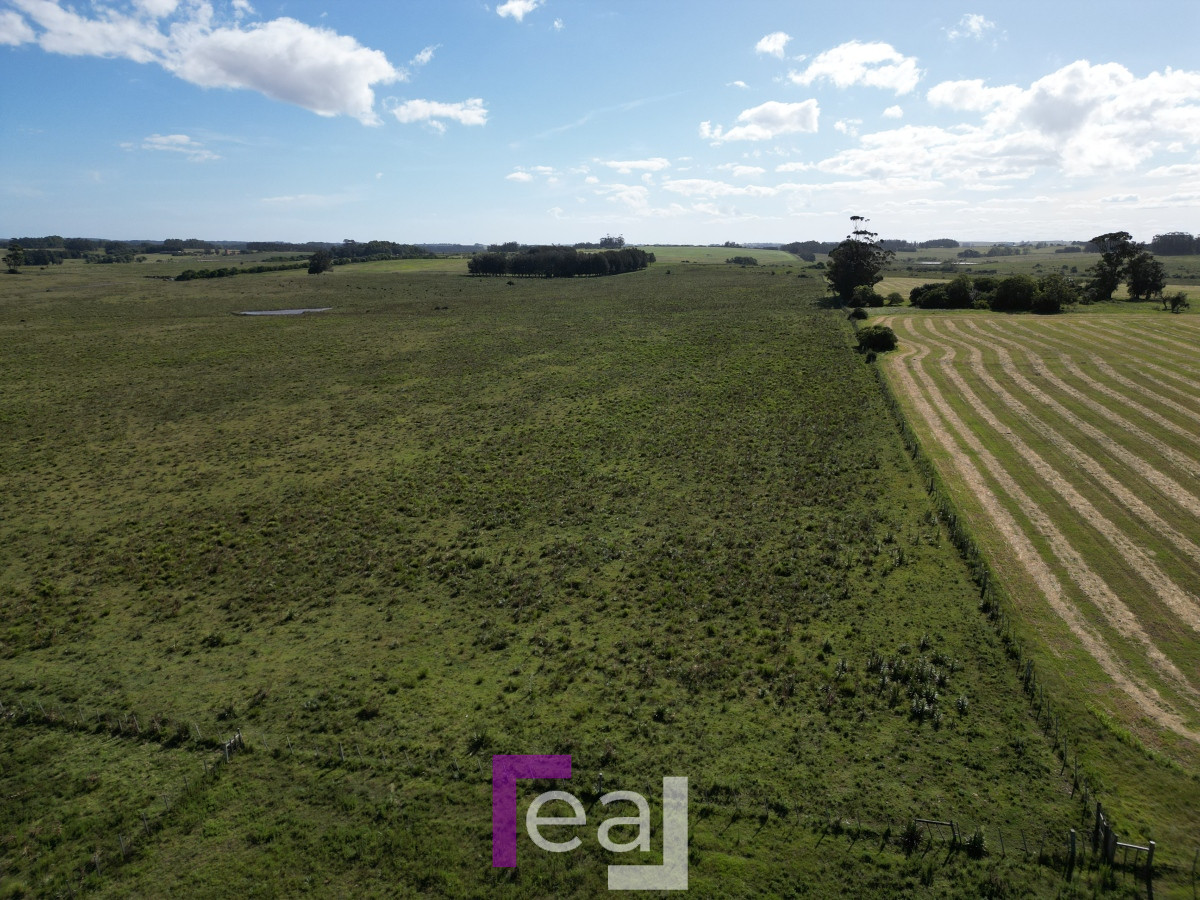Campo Ref.222 - Campo en José Ignacio 