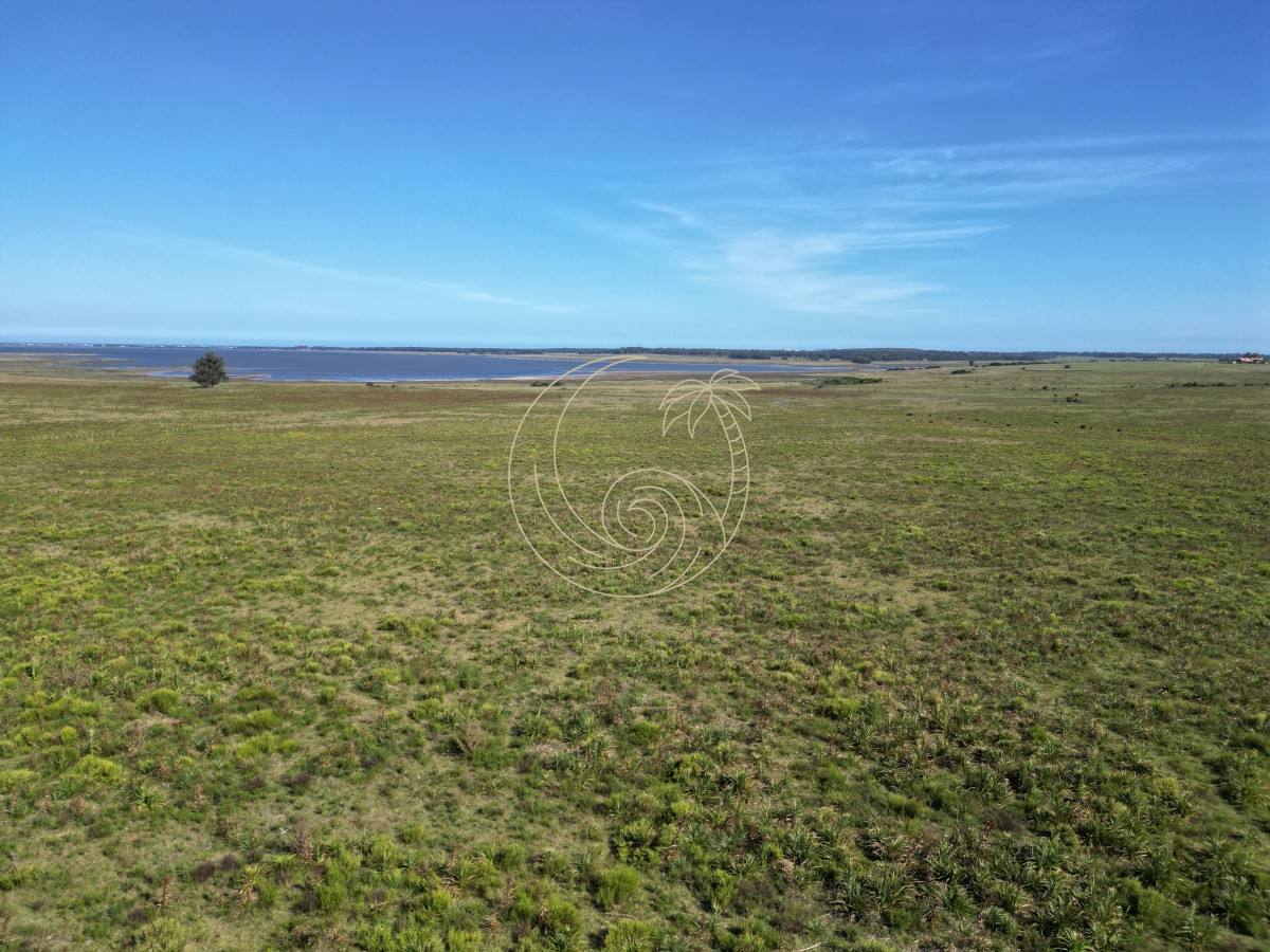 Campo Ref.21092599 - Campo en José Ignacio 
