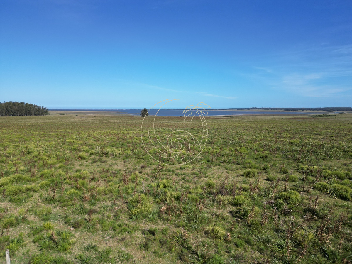 Campo Ref.21092599 - Campo en José Ignacio 