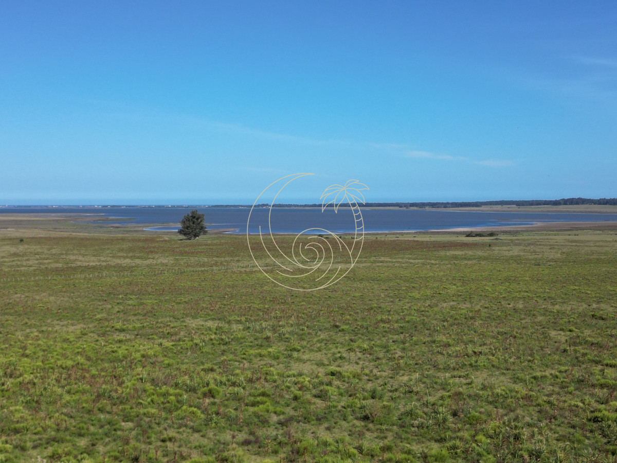 Campo Ref.21092599 - Campo en José Ignacio 