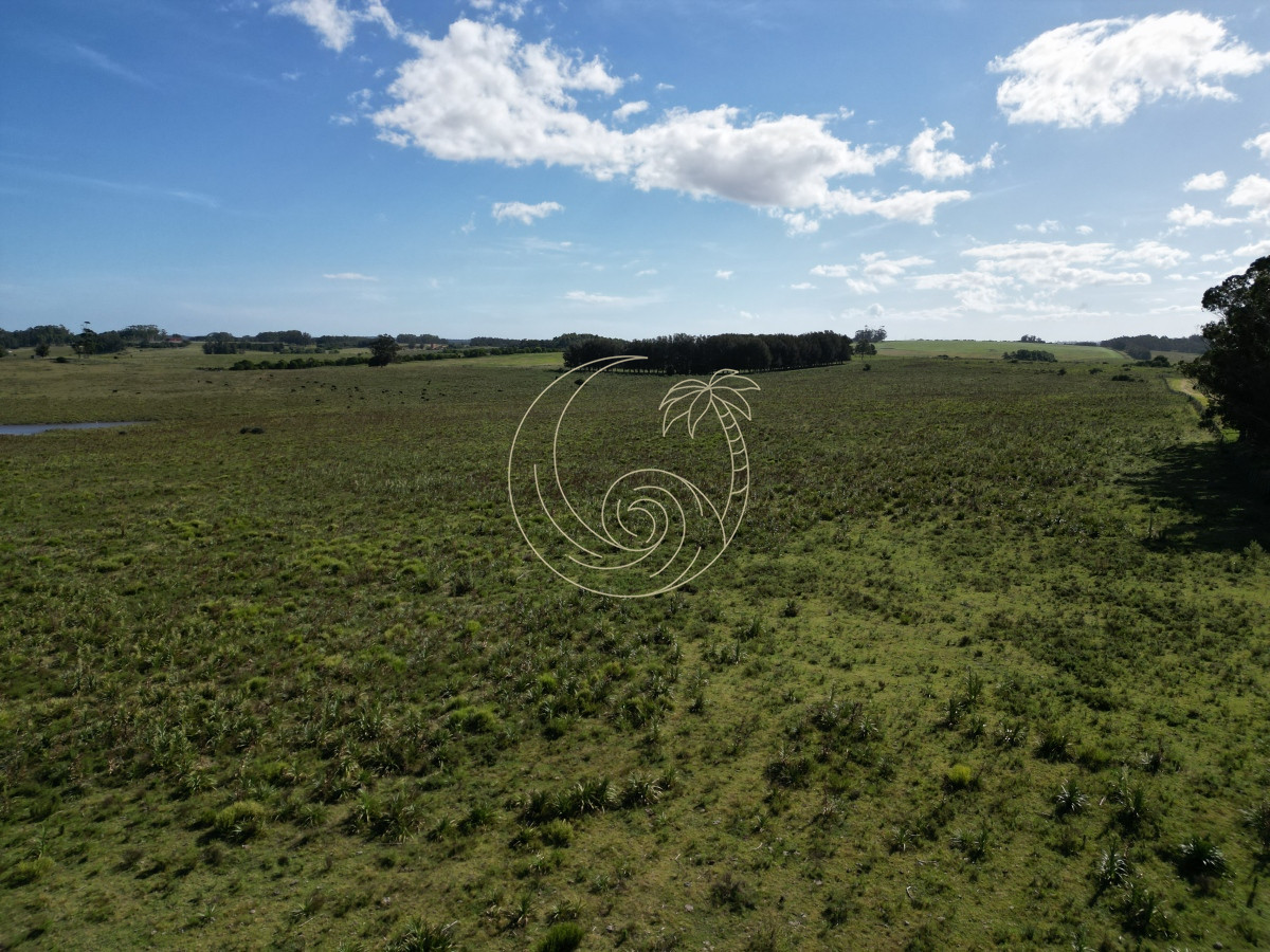 Campo Ref.21092599 - Campo en José Ignacio 
