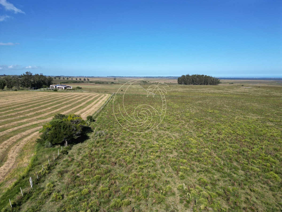Campo Ref.21092599 - Campo en José Ignacio 