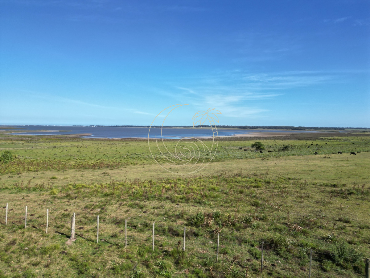Campo Ref.21092599 - Campo en José Ignacio 