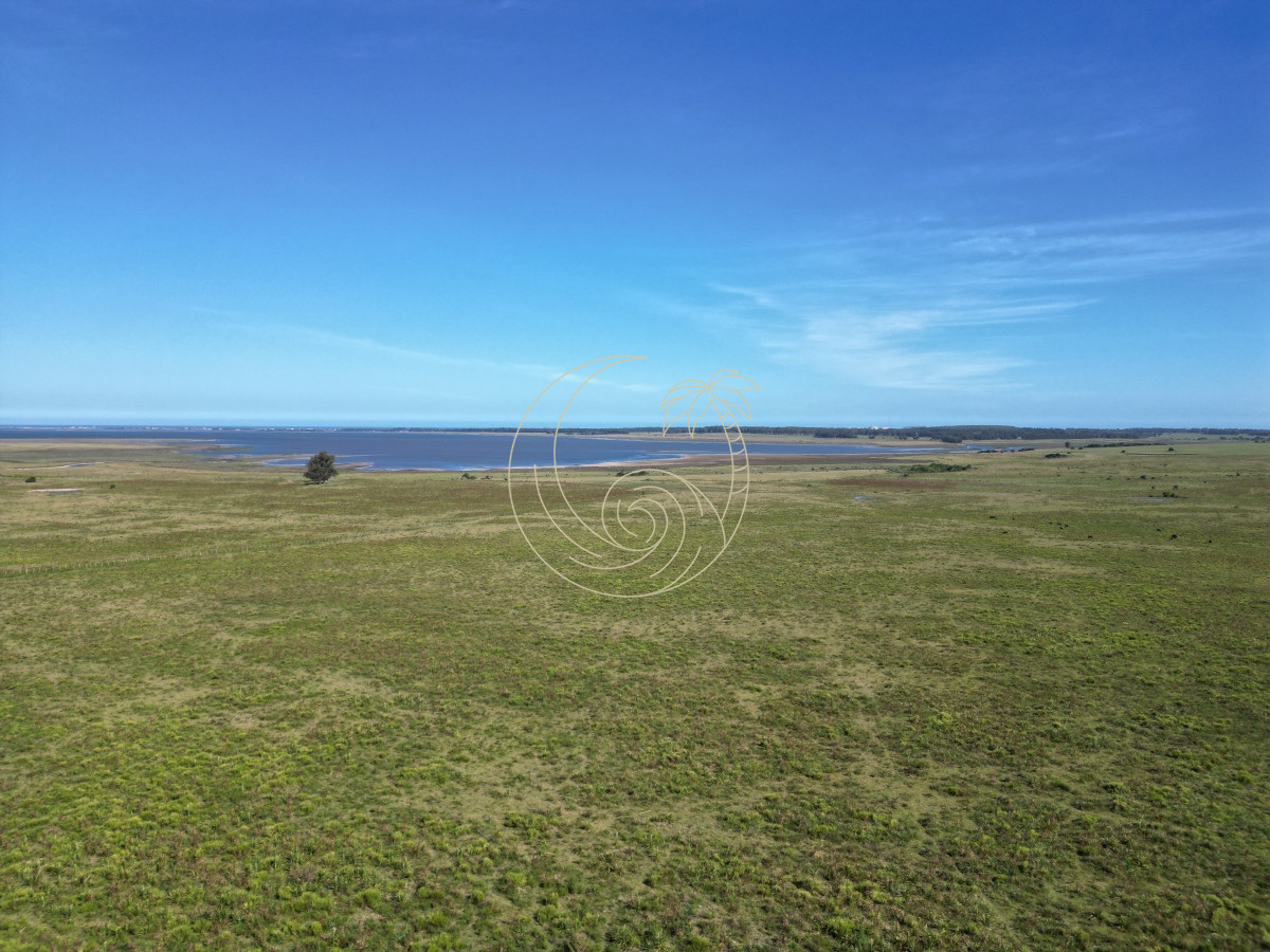 Campo Ref.21092599 - Campo en José Ignacio 