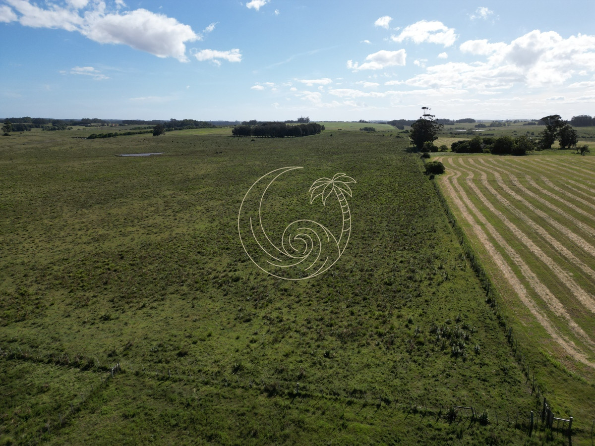 Campo Ref.21092599 - Campo en José Ignacio 