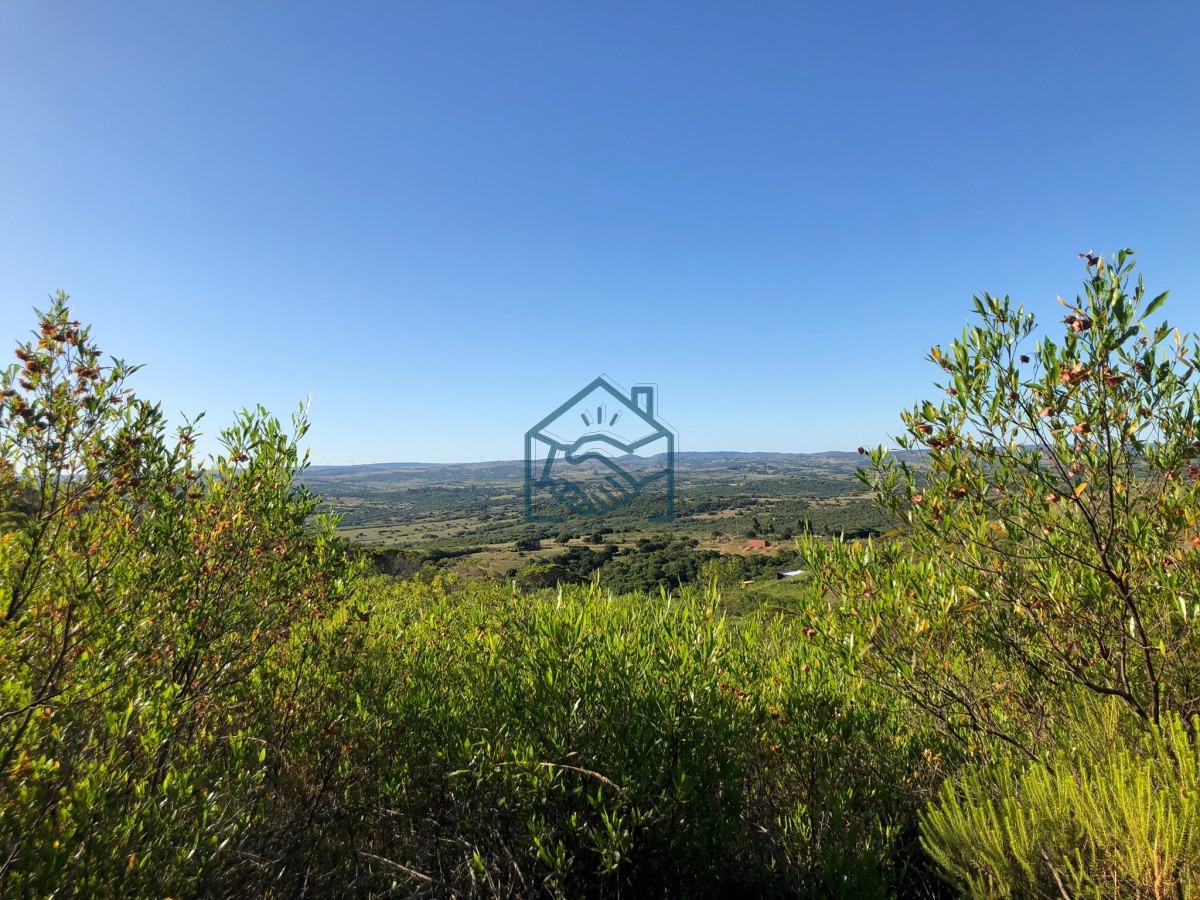 Chacra ID.713/Oportunidad-Chacra-de-5-ha-en-venta- - Oportunidad Chacra de 5 ha en venta 