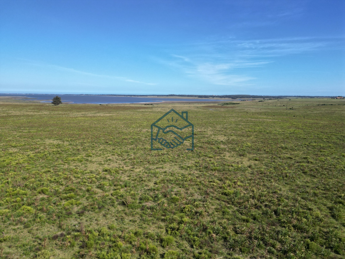 Campo Ref.709/Campo-en-José-Ignacio- - Campo en José Ignacio 
