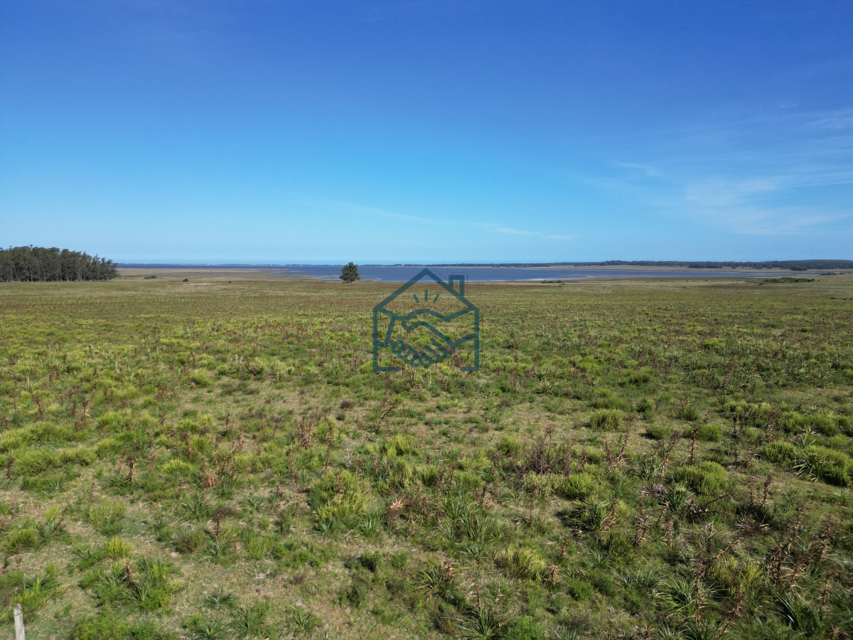 Campo Ref.709/Campo-en-José-Ignacio- - Campo en José Ignacio 