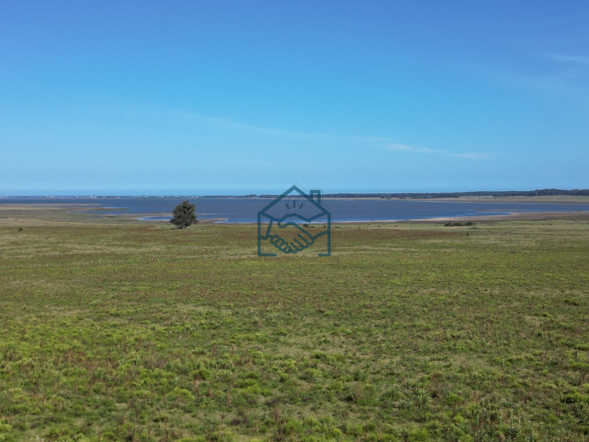 Campo Ref.709/Campo-en-José-Ignacio- - Campo en José Ignacio 