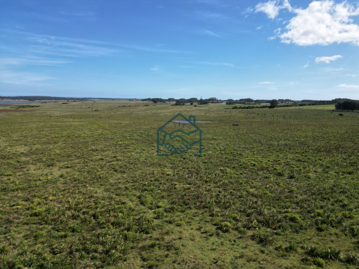 Campo Ref.709/Campo-en-José-Ignacio- - Campo en José Ignacio 