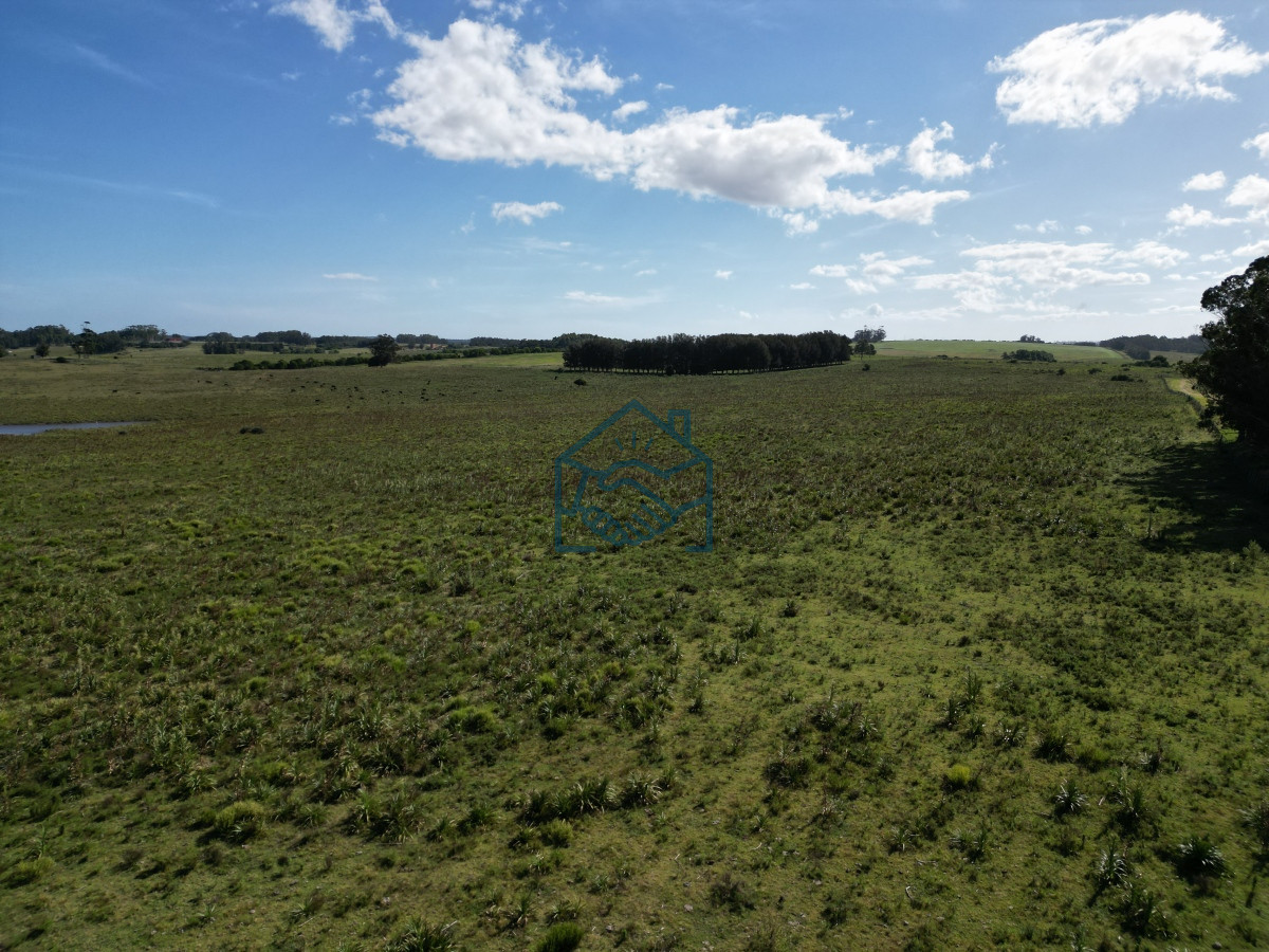 Campo Ref.709/Campo-en-José-Ignacio- - Campo en José Ignacio 