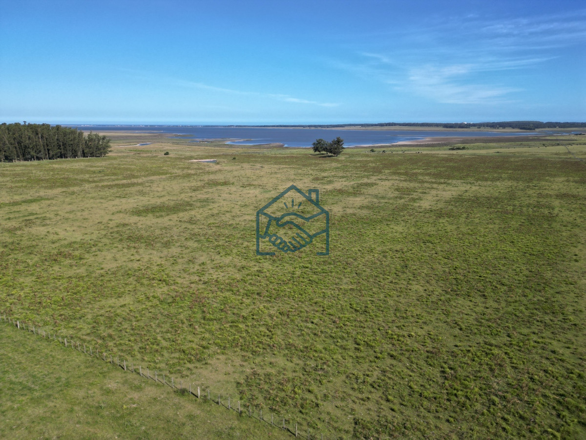 Campo Ref.709/Campo-en-José-Ignacio- - Campo en José Ignacio 