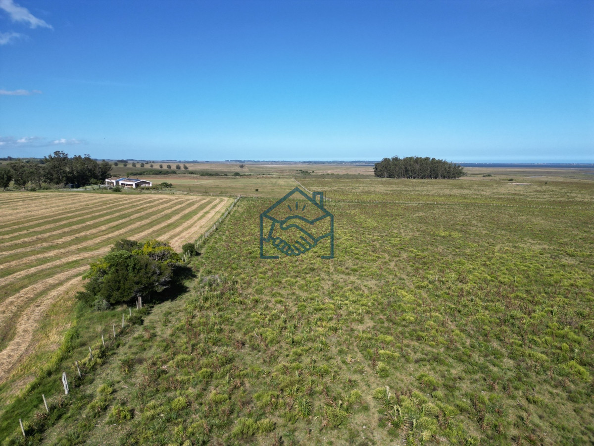 Campo Ref.709/Campo-en-José-Ignacio- - Campo en José Ignacio 