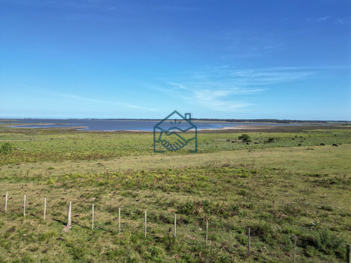 Campo Ref.709/Campo-en-José-Ignacio- - Campo en José Ignacio 