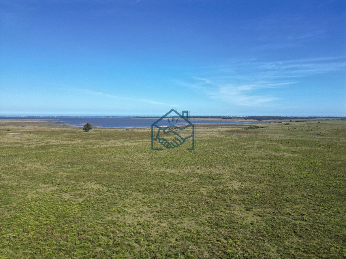 Campo Ref.709/Campo-en-José-Ignacio- - Campo en José Ignacio 