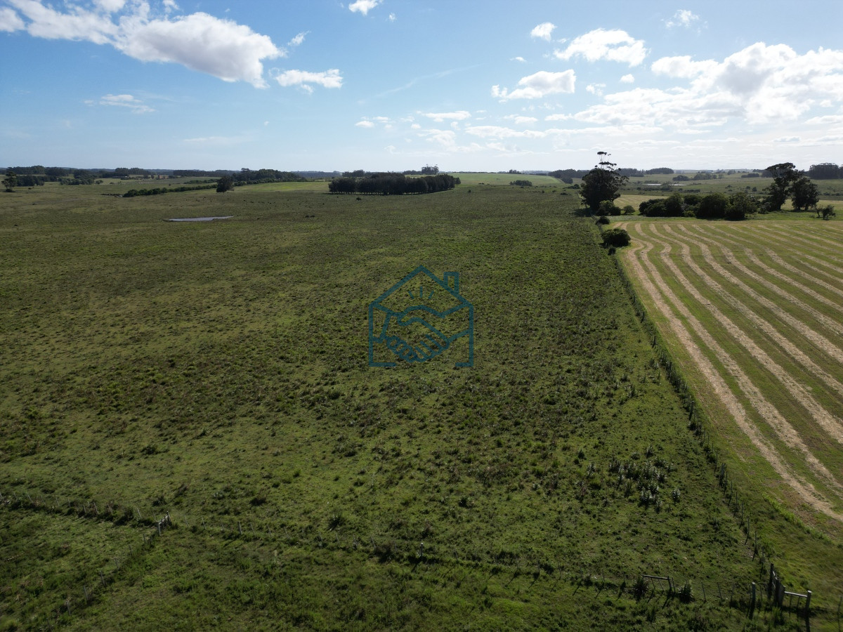 Campo Ref.709/Campo-en-José-Ignacio- - Campo en José Ignacio 