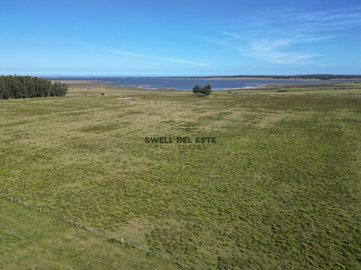 Campo Ref.49 - Campo en José Ignacio 