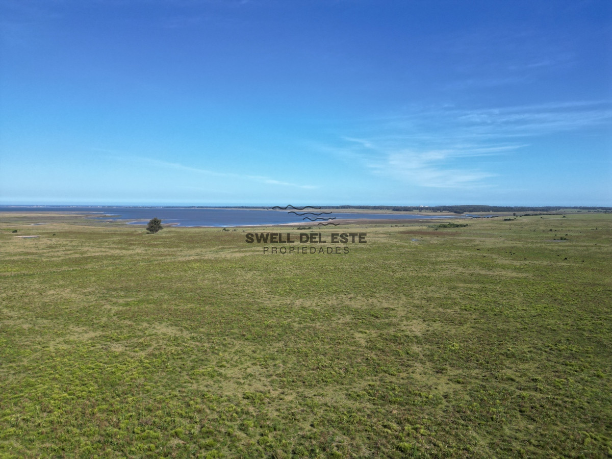 Campo Ref.49 - Campo en José Ignacio 