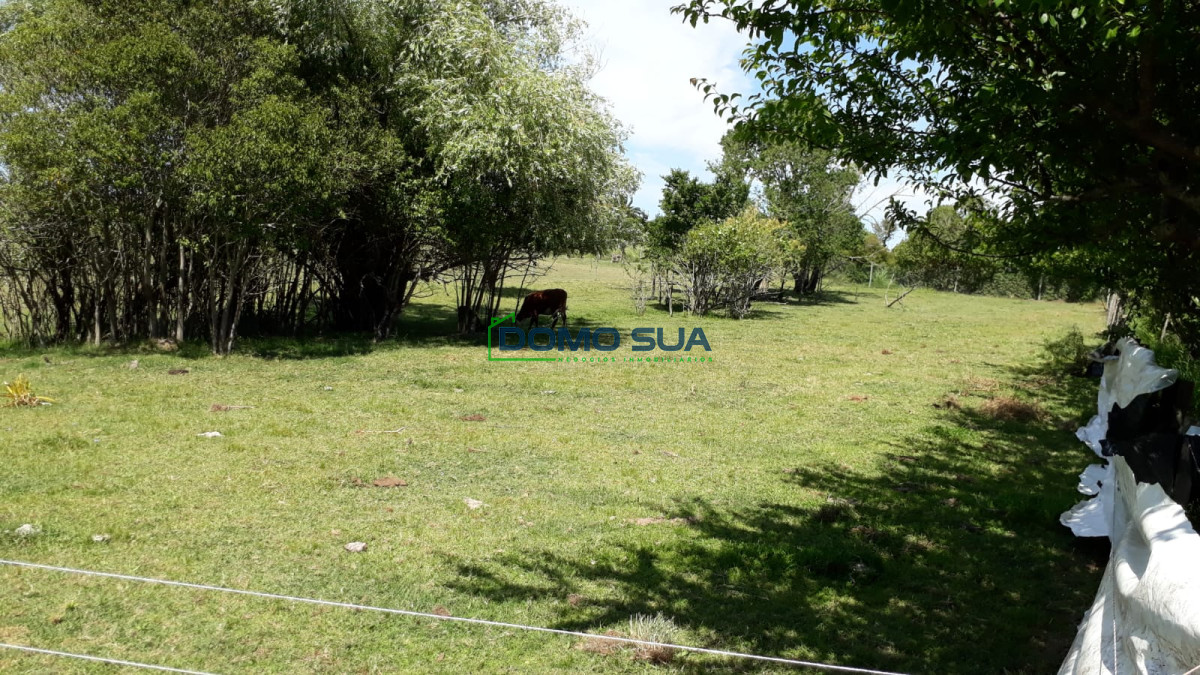 Casa ID.1 - Casa 3 dormitorios  312m2 edificados