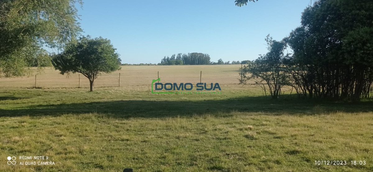 Casa ID.1 - Casa 3 dormitorios  312m2 edificados